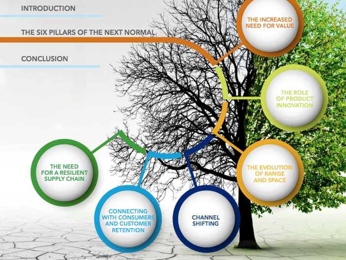 six pillars of the next normal